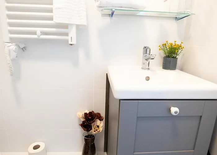 Spectacular View Over The City - Dorobanti Studio Apartment Bucharest